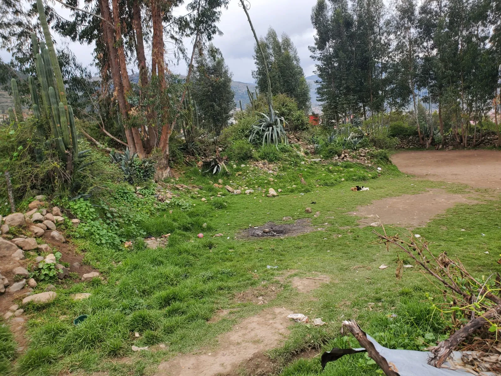 TERRENO URBANO-HUARAZ - 1