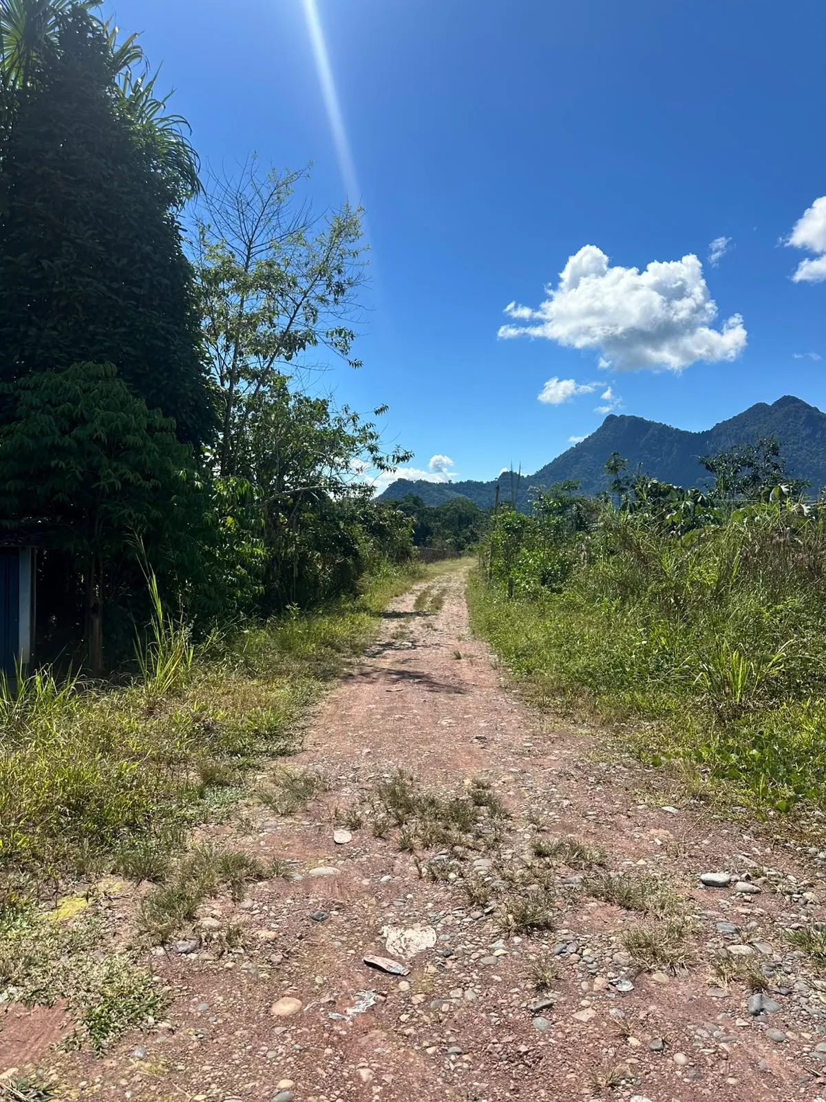 TERRENO DE 1.88 HA EN TINGO MARÍA | INTI TROPICAL | PROYECTO TURÍSTICO - 5