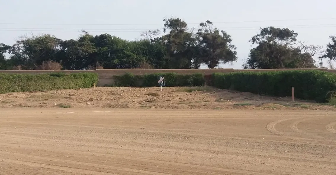 Terreno 631.25 m² en Alto Pradera – Asia, muy cerca al Boulevard - 8