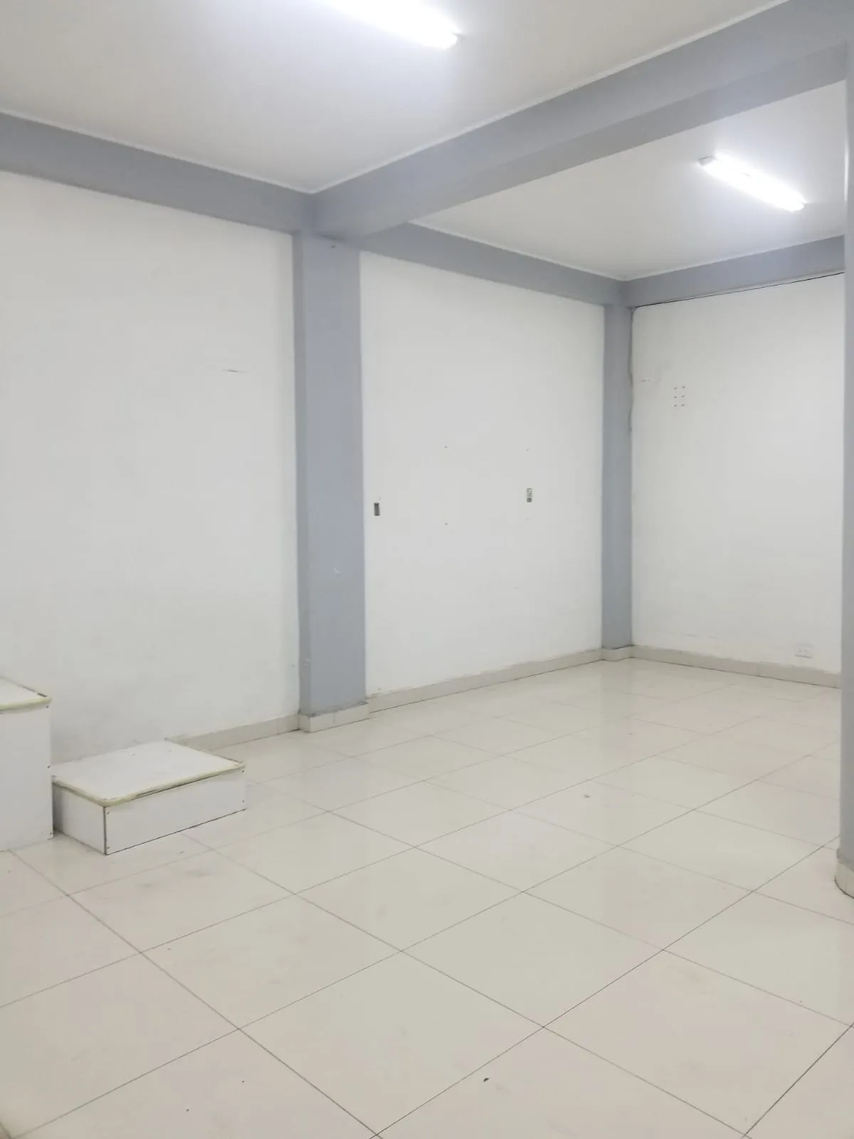 SE ALQUILA LOCAL PARA ALMACEN O TALLER A PUERTA CERRADA EN PASAJE - DISTRITO SANTA ANITA - 10