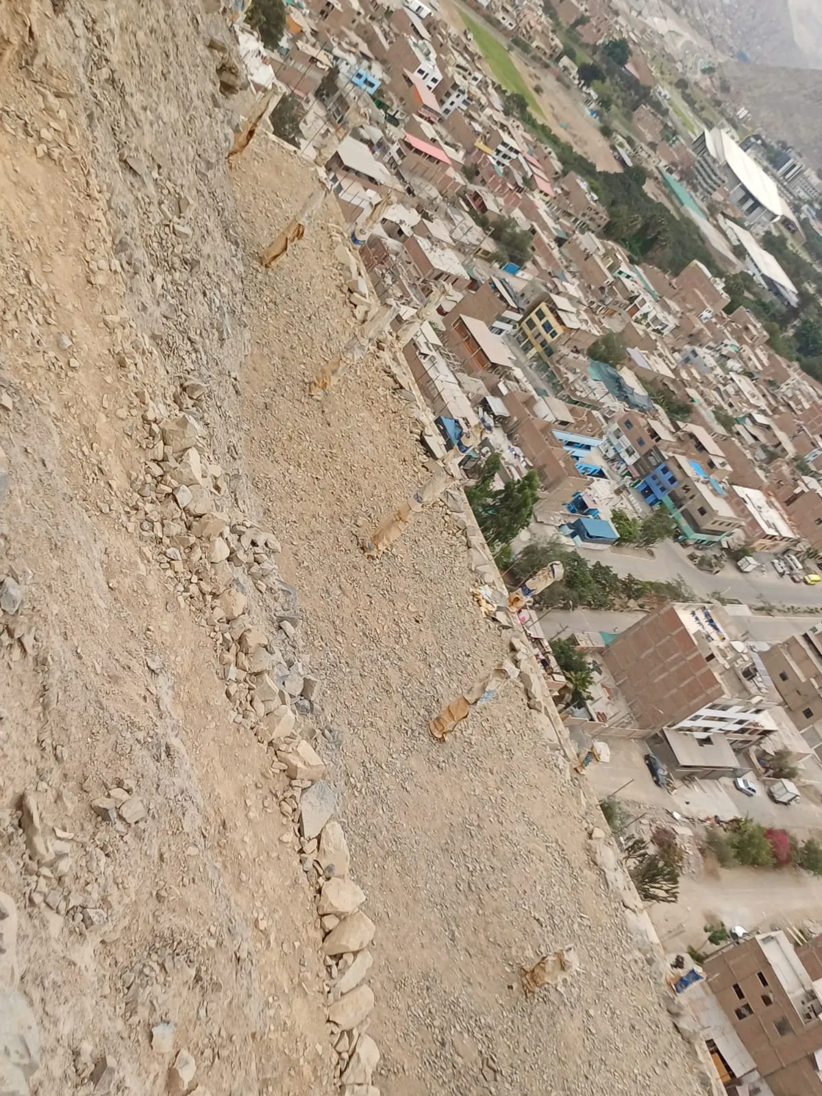 TERRENO LA ERA - 4