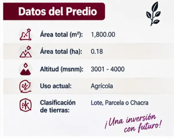Predio Rustico denominado “Hualianta”, Matahuasi, Concepción - 5