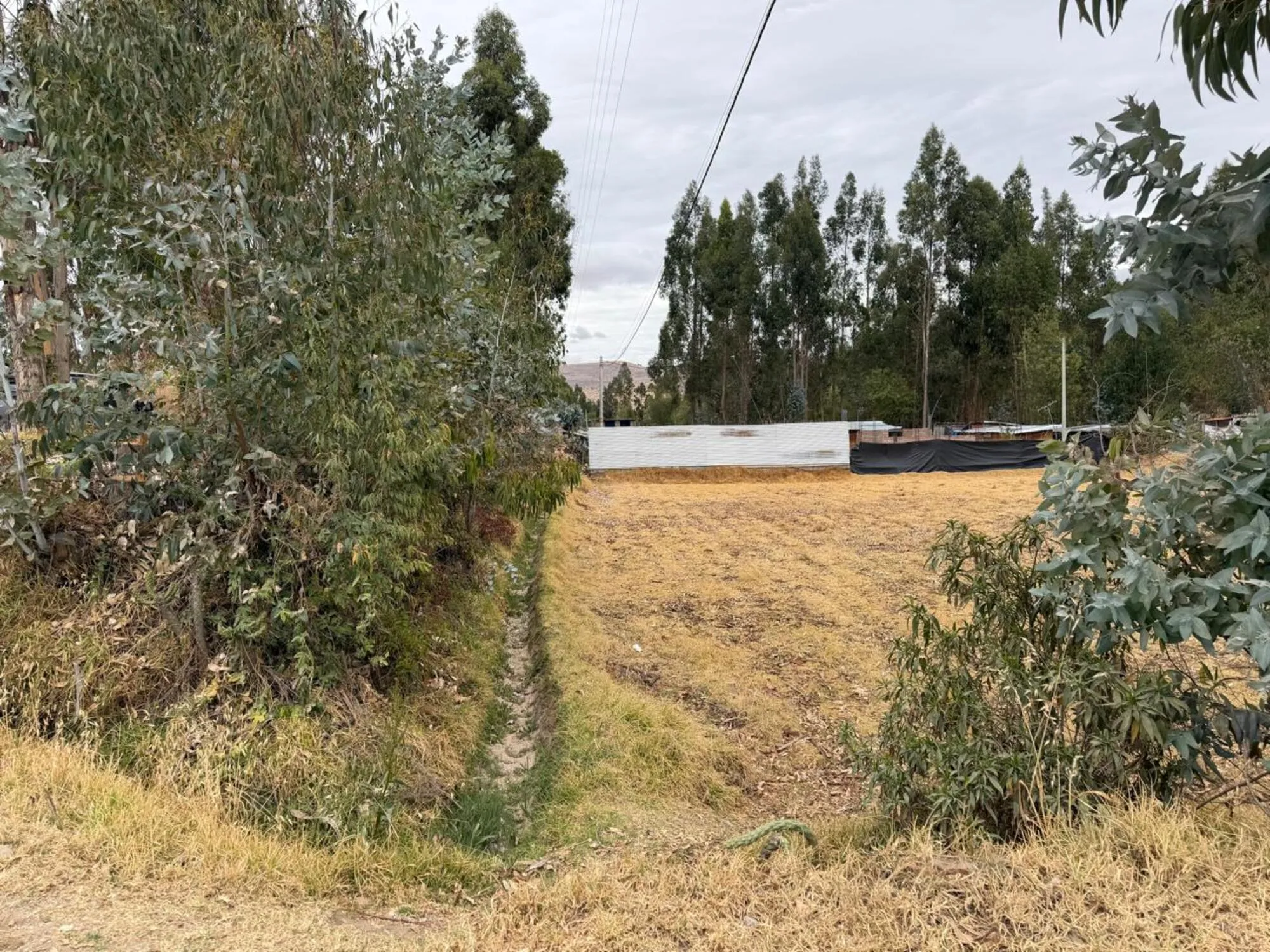 Predio Rustico denominado “Hualianta”, Matahuasi, Concepción - 14