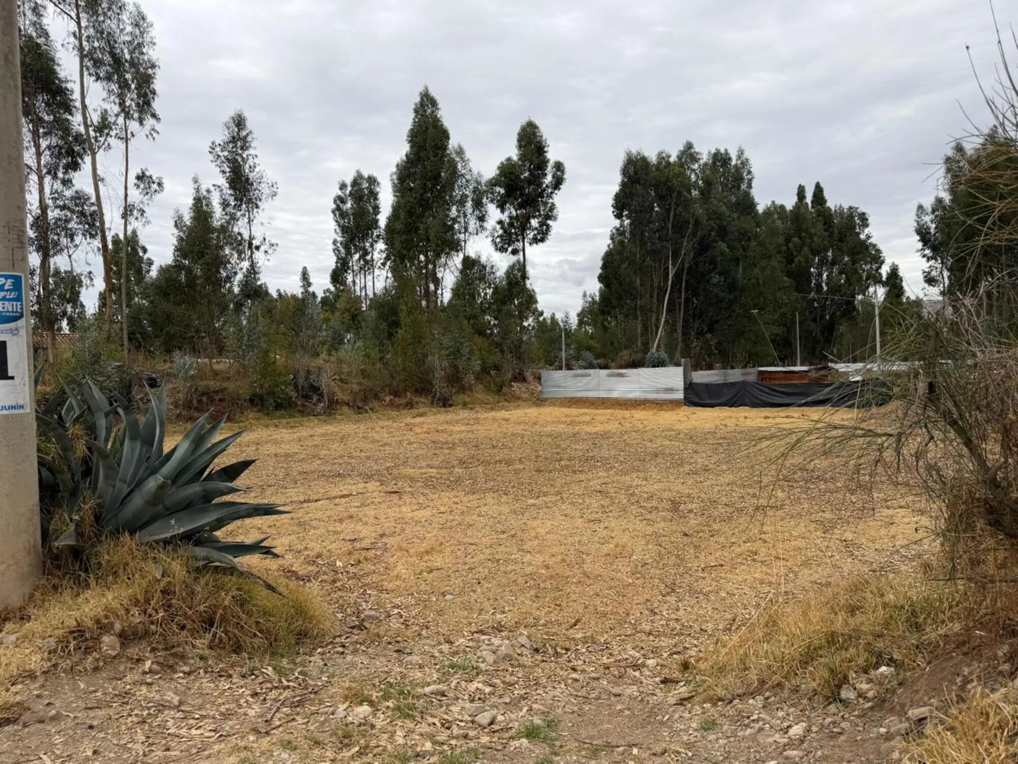 Predio Rustico denominado “Hualianta”, Matahuasi, Concepción - 12