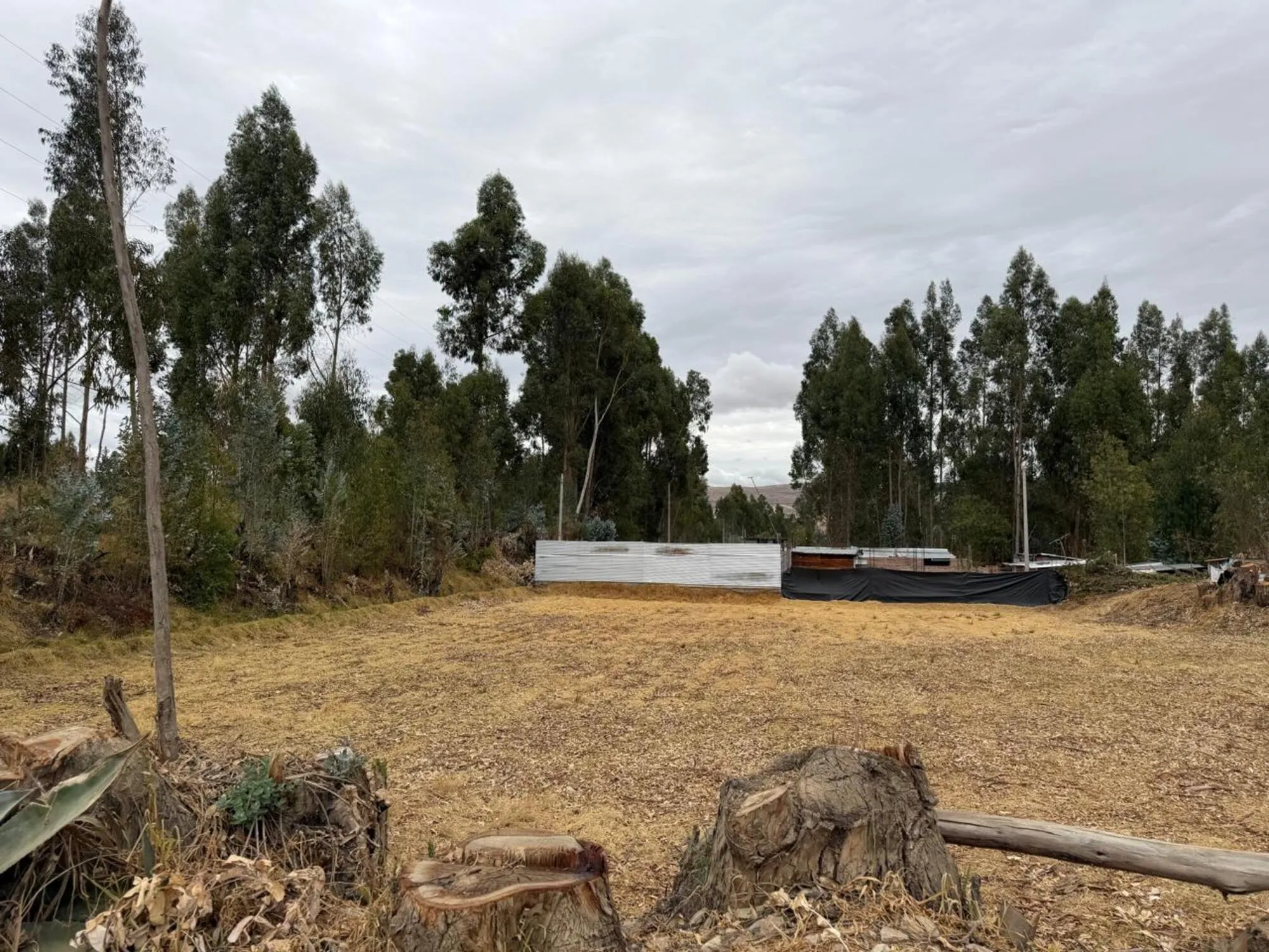 Predio Rustico denominado “Hualianta”, Matahuasi, Concepción - 13