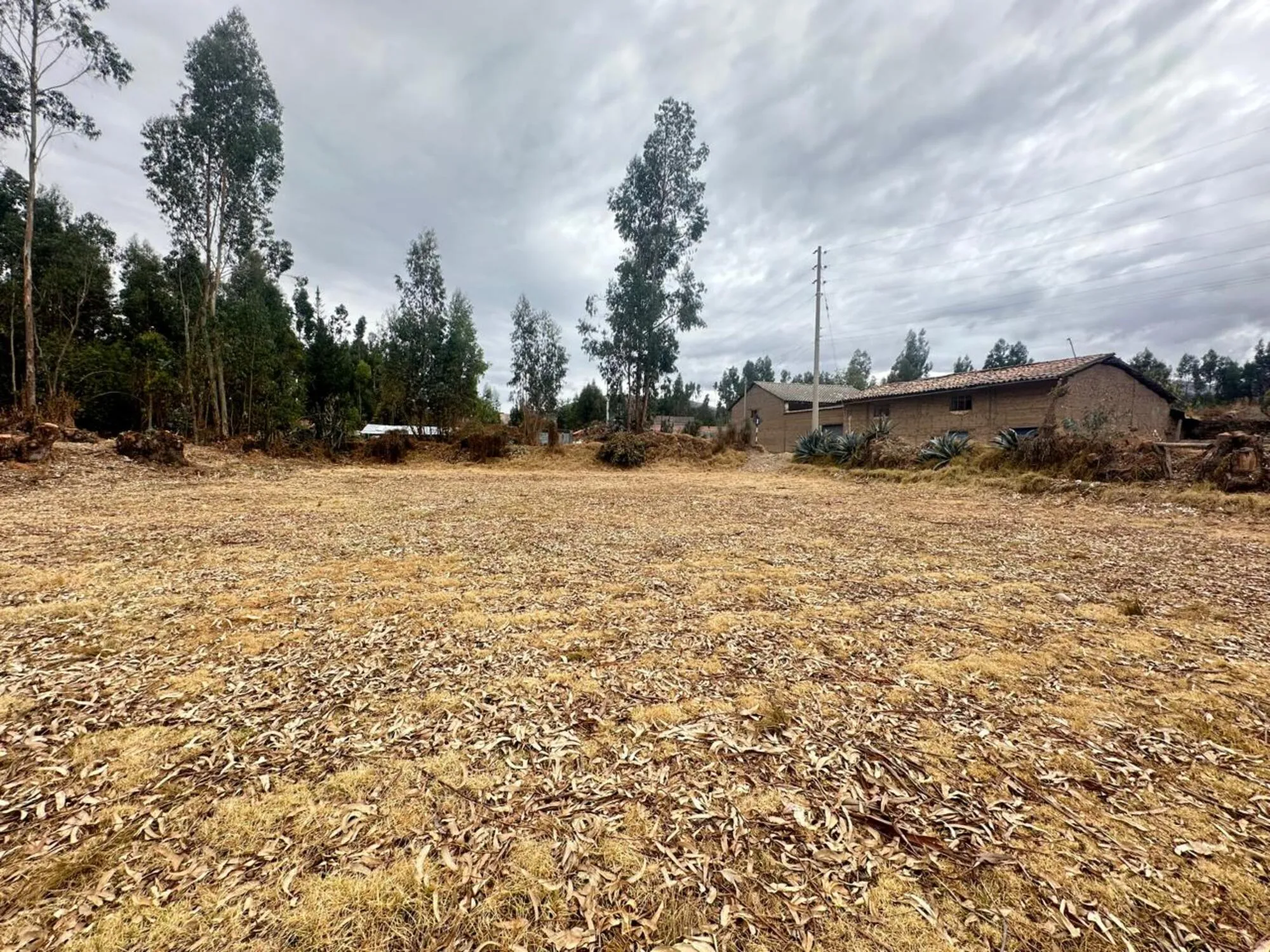 Predio Rustico denominado “Hualianta”, Matahuasi, Concepción - 17