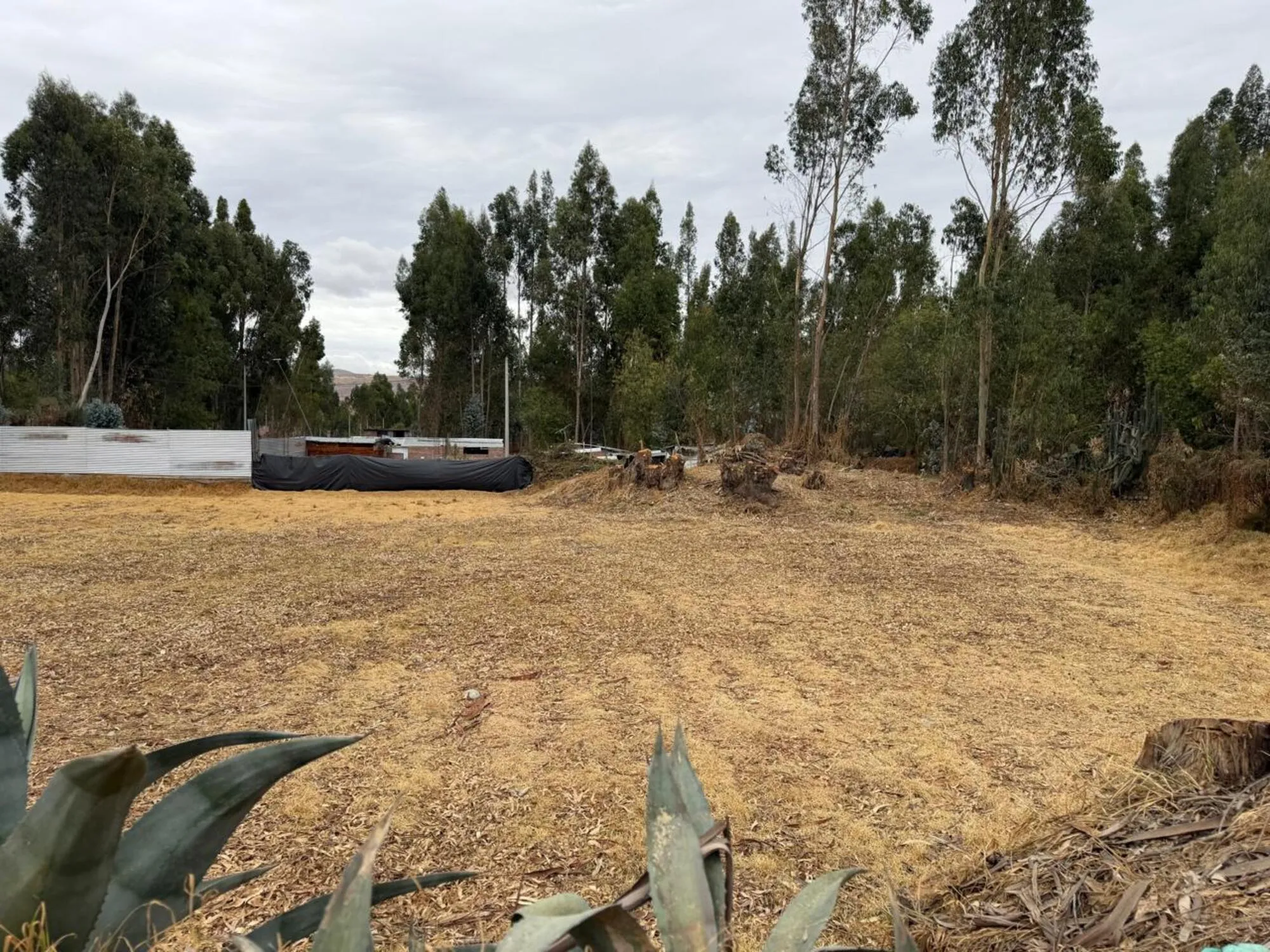 Predio Rustico denominado “Hualianta”, Matahuasi, Concepción - 15