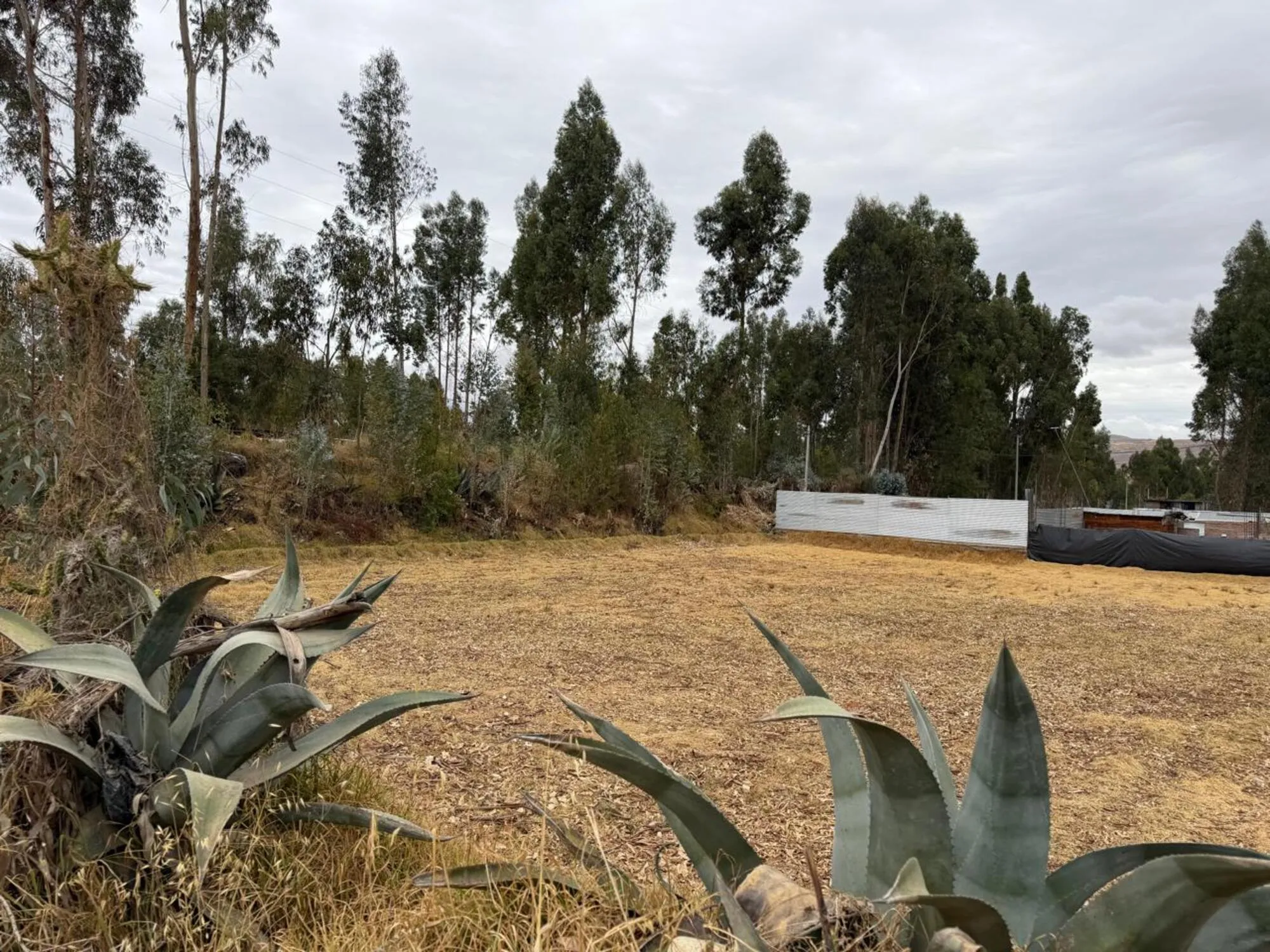 Predio Rustico denominado “Hualianta”, Matahuasi, Concepción - 16
