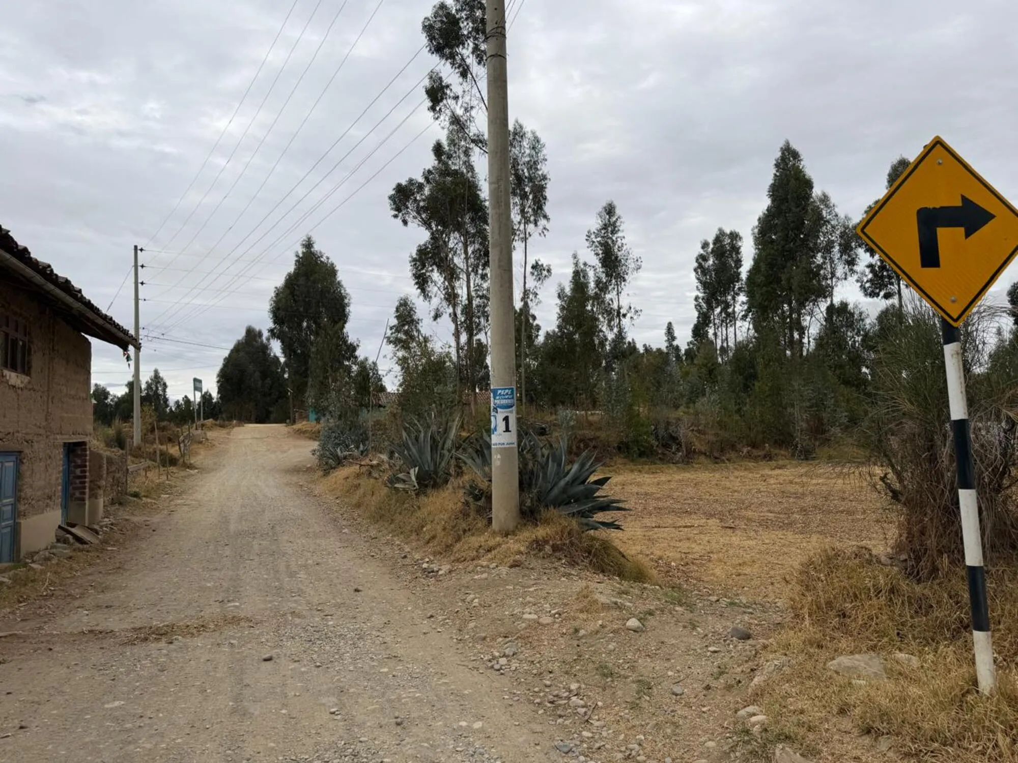 Predio Rustico denominado “Hualianta”, Matahuasi, Concepción - 10