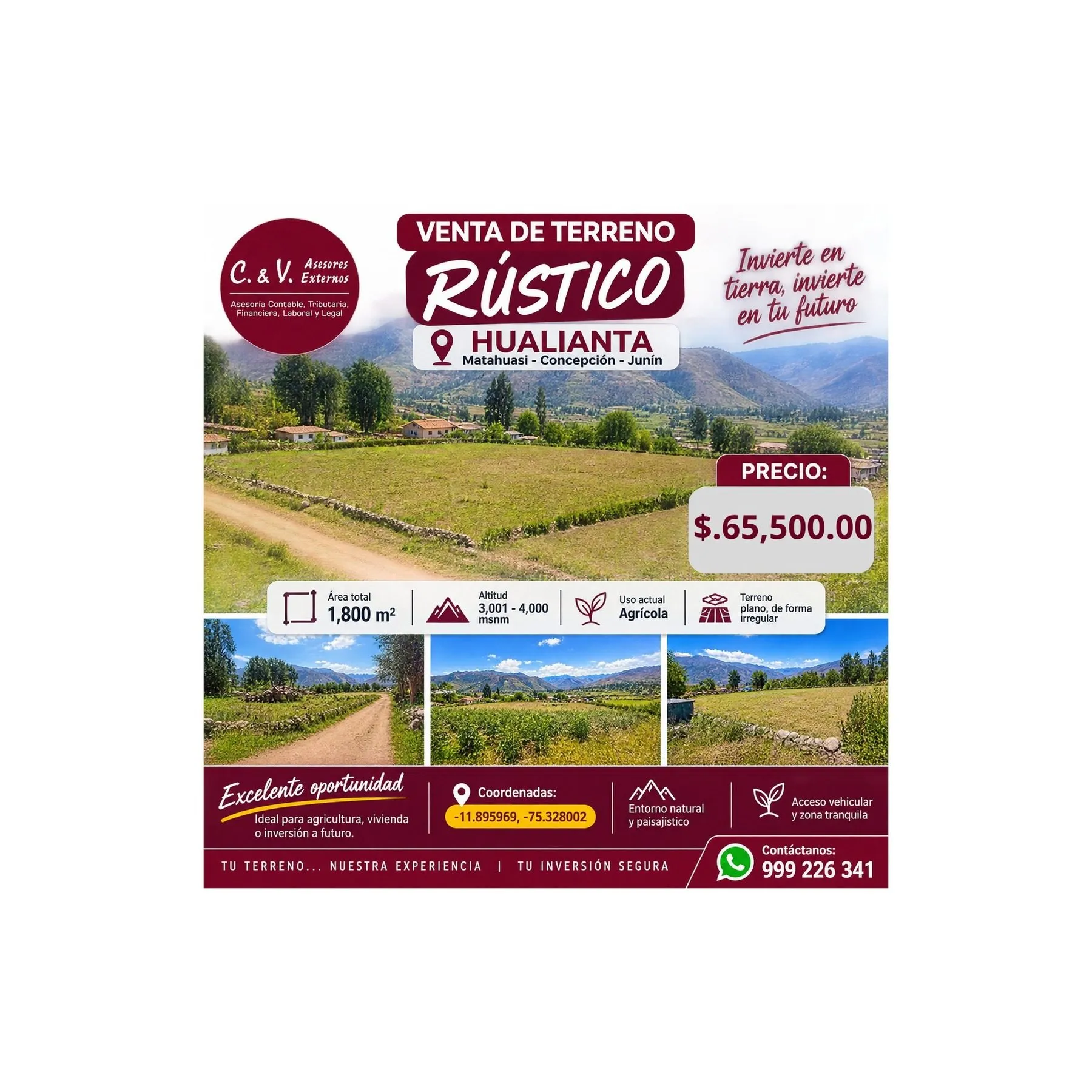 Predio Rustico denominado “Hualianta”, Matahuasi, Concepción - 1