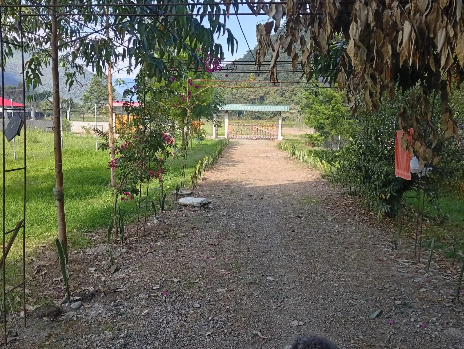 Se Vende Casa de Campo + Bungalow en Paraíso Natural de Oxapampa — foto 13