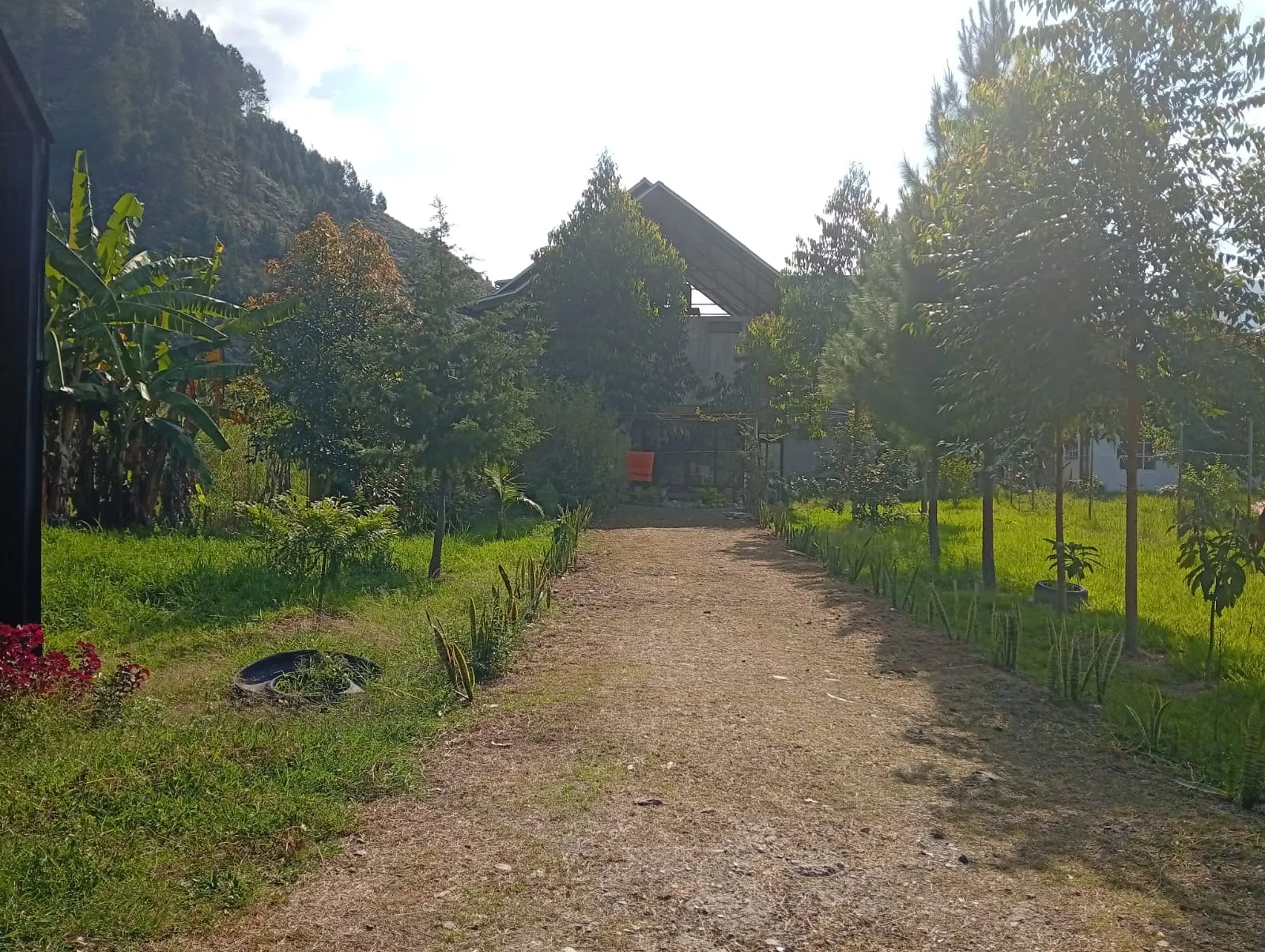 Se Vende Casa de Campo + Bungalow en Paraíso Natural de Oxapampa — foto 12