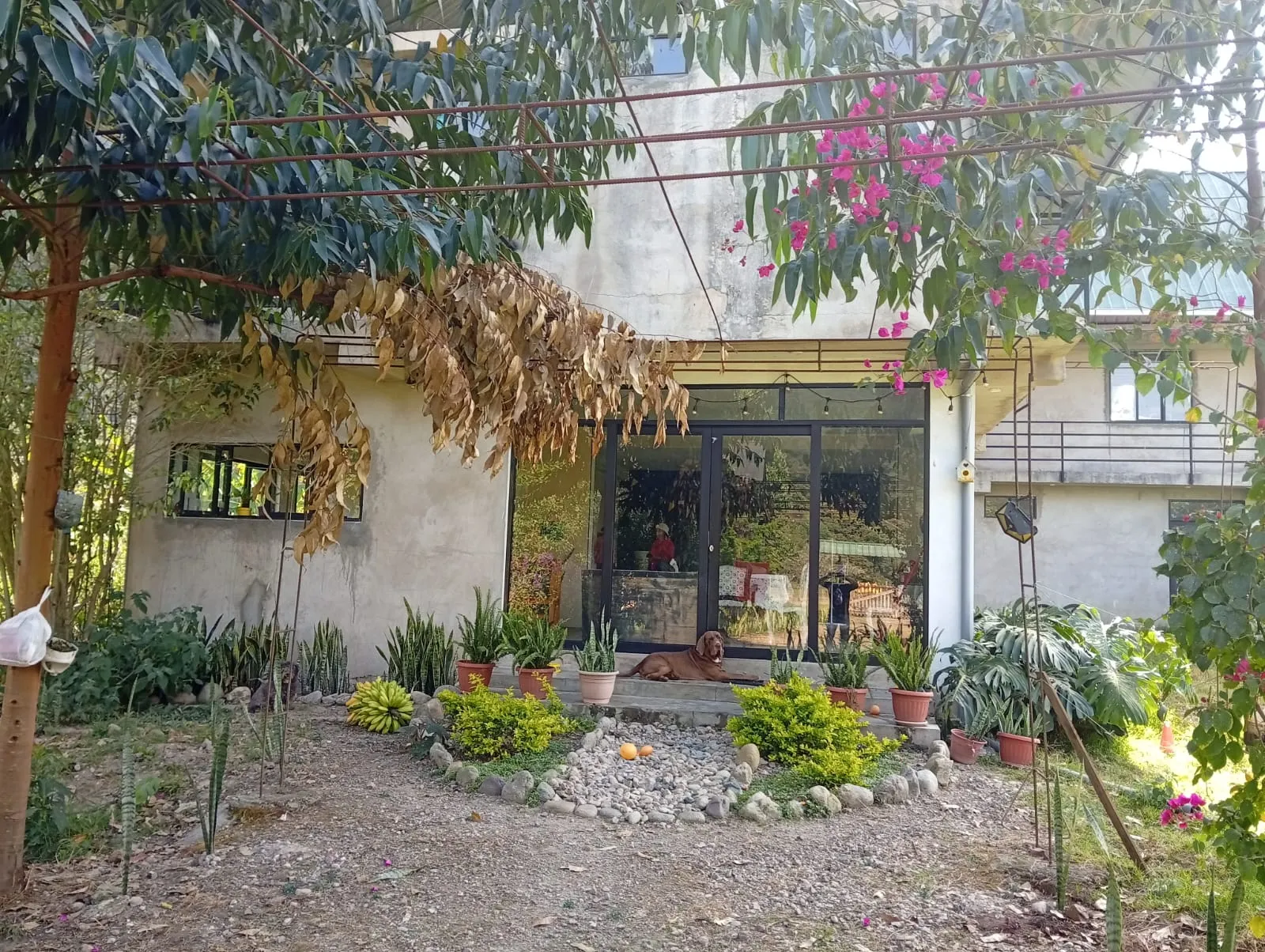 Se Vende Casa de Campo + Bungalow en Paraíso Natural de Oxapampa — foto 3