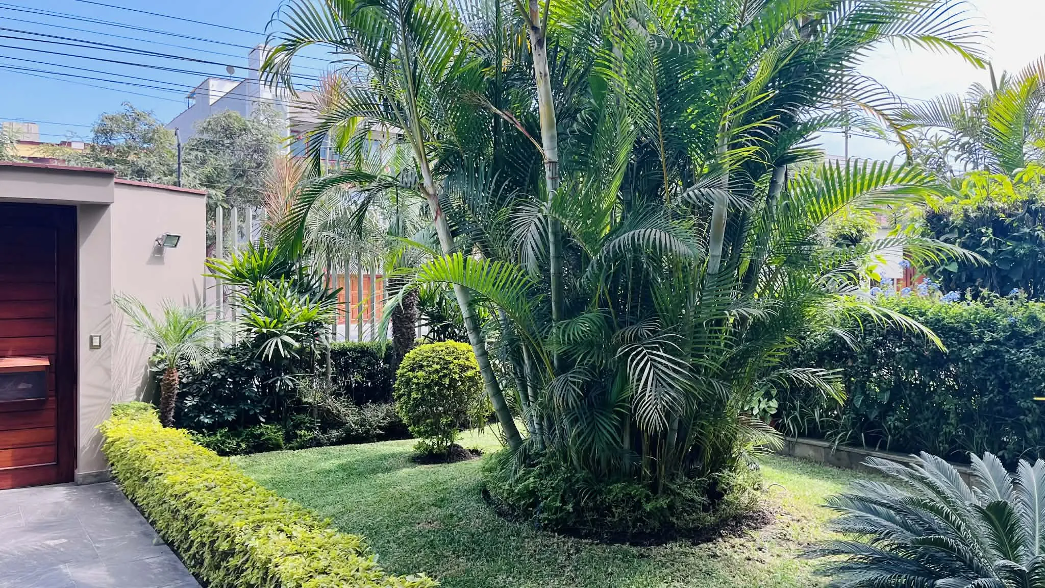 Chacarilla San Borja - 1