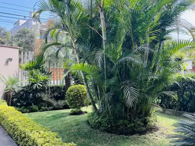 Chacarilla San Borja