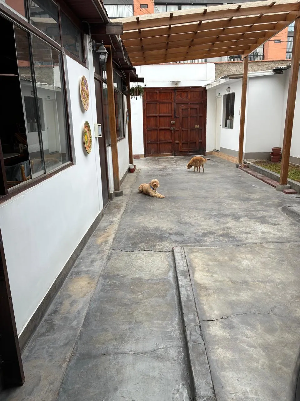 Terreno 315 m² en Los Rosales, Surco - 4