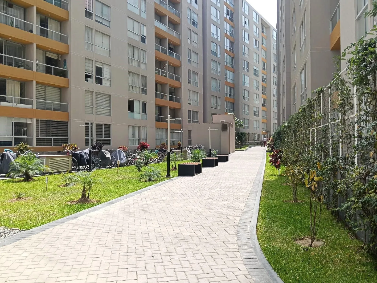 Alquilo Departamento de Estreno en Surco, Condominio Paseo La Arboleda - 1