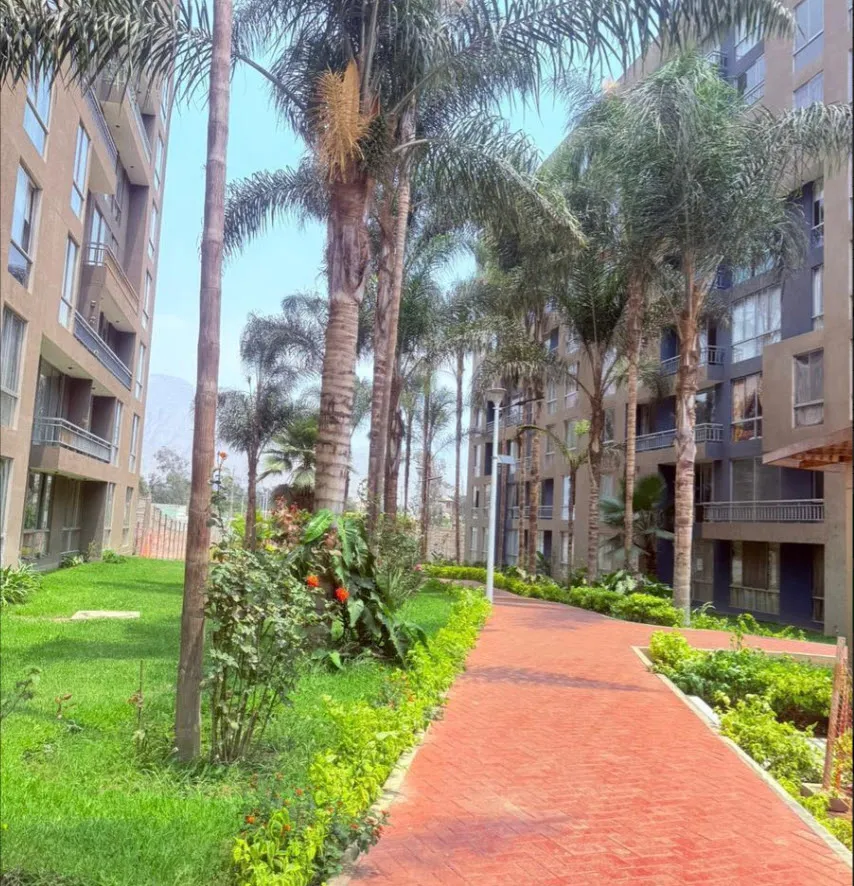 Venta 𝐃𝐩𝐭𝐨 𝐂𝐨𝐧𝐝𝐨𝐦𝐢𝐧𝐢𝐨 𝐄𝐥 𝐄𝐧𝐜𝐚𝐧𝐭𝐨 𝐝𝐞 𝐍̃𝐚𝐧̃𝐚 𝟑𝐝𝐨𝐫𝐦 𝟖𝟔 𝐦𝟐 𝐕𝐢𝐬𝐭𝐚 𝐚 𝐏𝐢𝐬𝐜𝐢𝐧𝐚. 𝐒𝐨𝐥 𝐓𝐨𝐝𝐨 𝐄𝐥 𝐀𝐧̃𝐨, 𝐩𝐚𝐭𝐢𝐨 𝐢𝐧𝐭𝐞𝐫𝐢𝐨𝐫 — foto 3