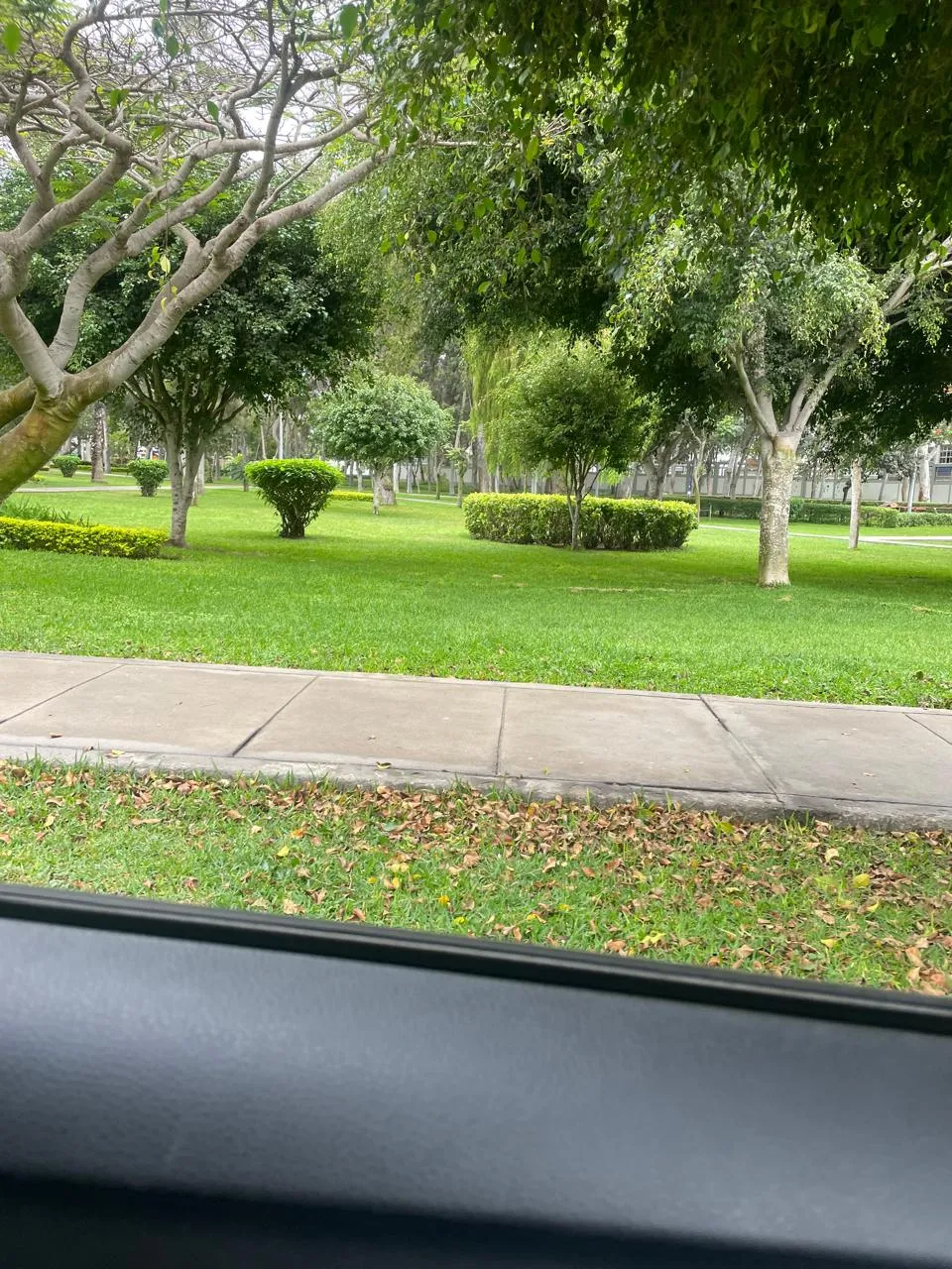 ALQUILO LINDO DPTO MIRAFLORES . 2DO. PISO  2 DORMS. 80M2 COCHERA CERCA PARQUE — foto 3