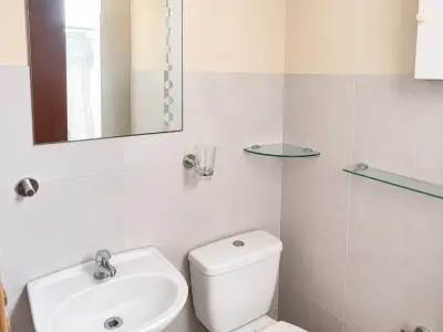 Miniatura 10