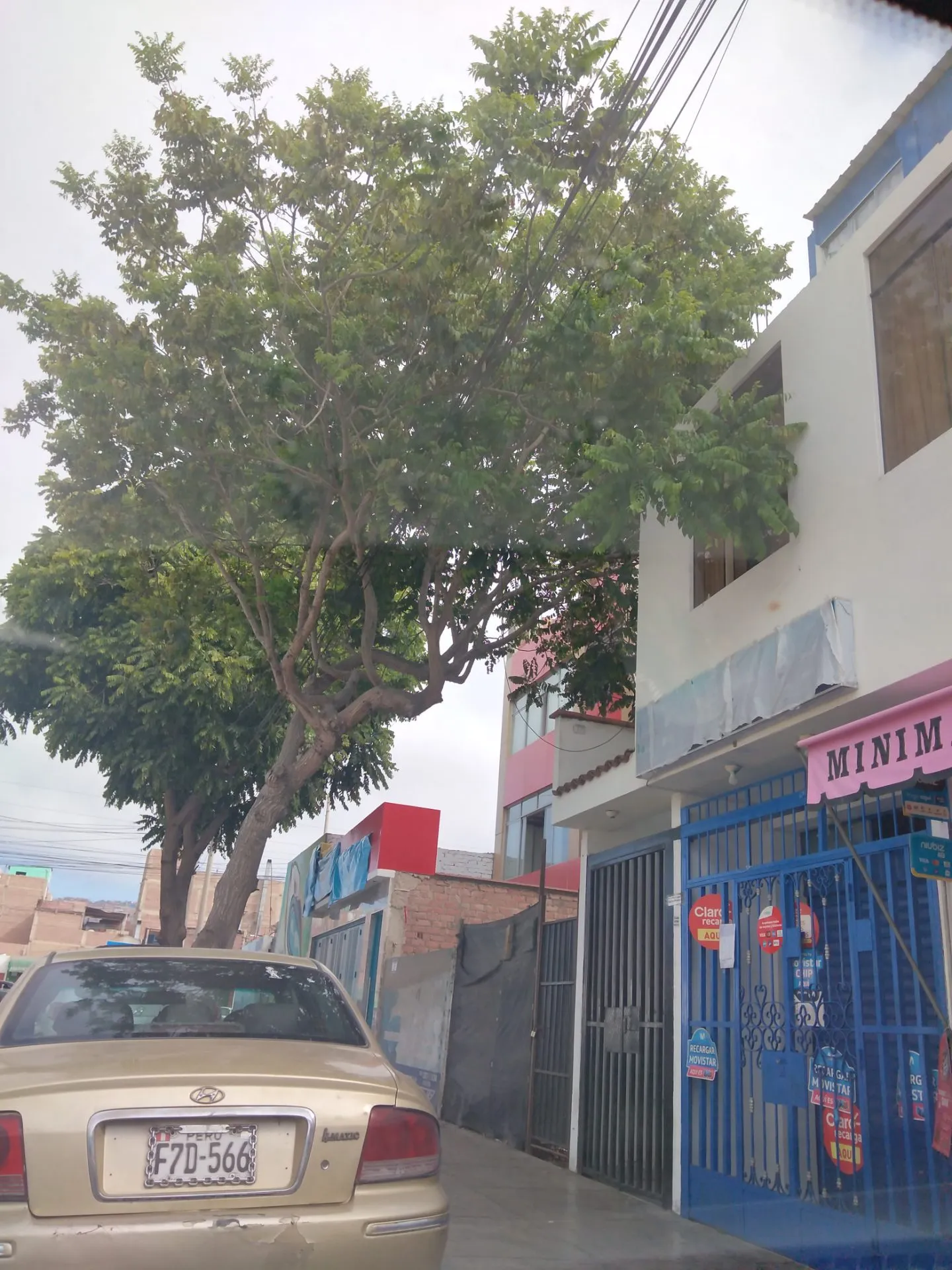 ALQUILO AMPLIO LOCAL DE 100 METROS PRIMER PISO PARA ALMACEN O  OFICINA — foto 6