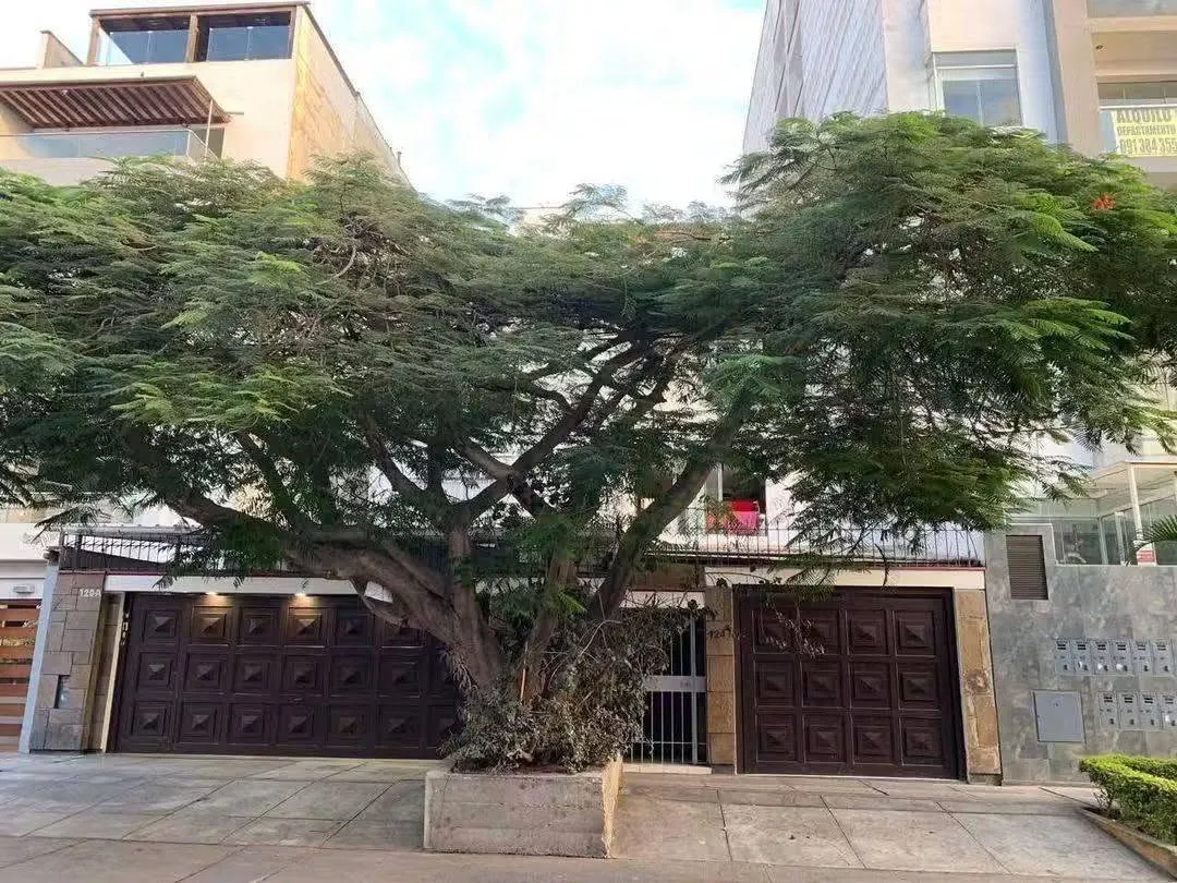 venta de casa como terreno en valle hermoso  santiago de surco — foto 1