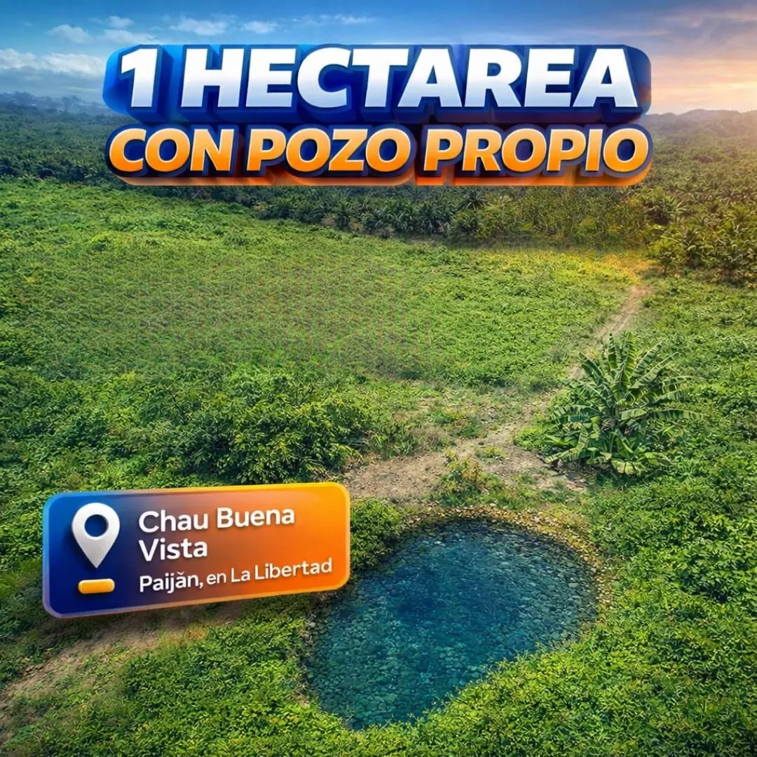 Terreno en Venta – Paiján | 1 Hectárea - 1