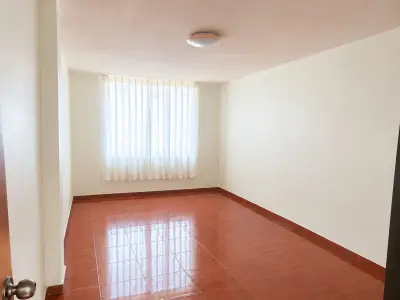 Miniatura 10