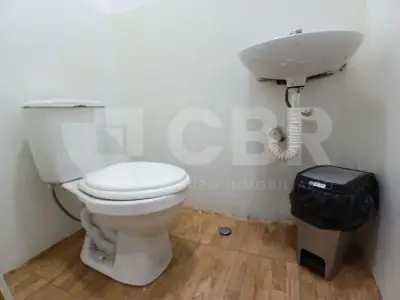 Miniatura 9