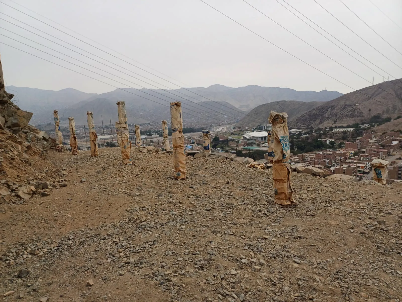 TERRENO EN REMATE - LA ERA - CHOSICA — foto 2