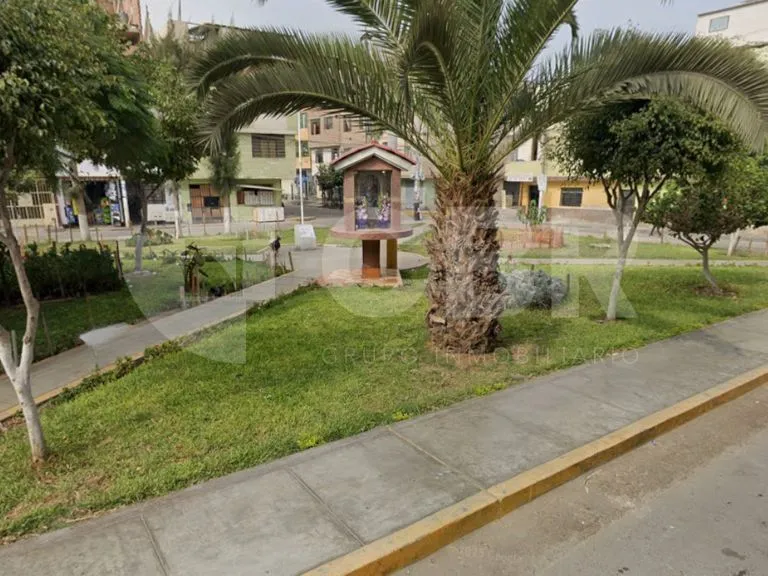 VENTA CASA COMO TERRENO EN LOS OLIVOS - 6